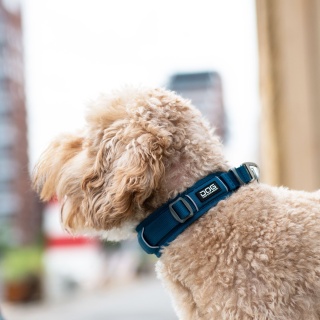 DOG Copenhagen Urban Explorer Collar